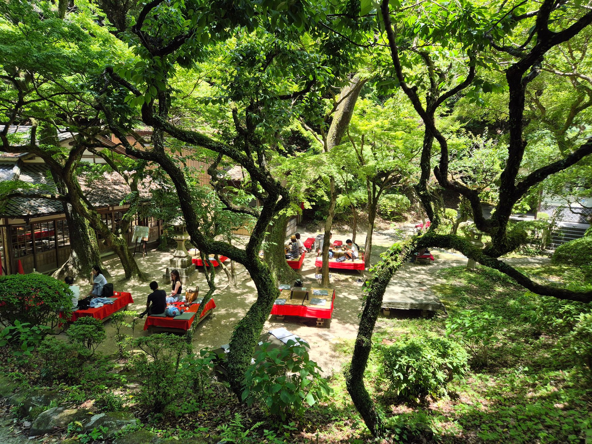Hübscher Tee-Garten im Wald