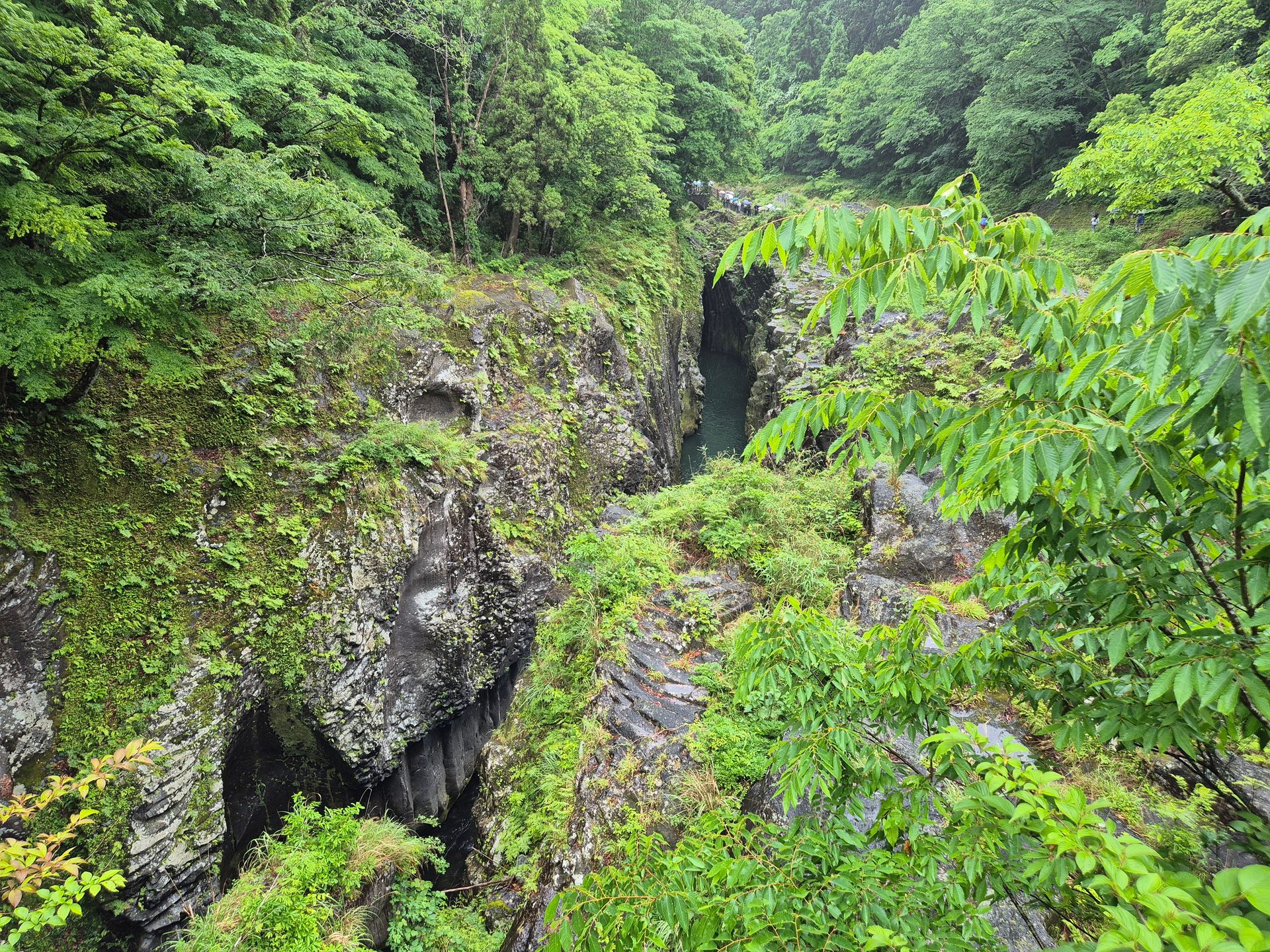 Blick in die Schlucht