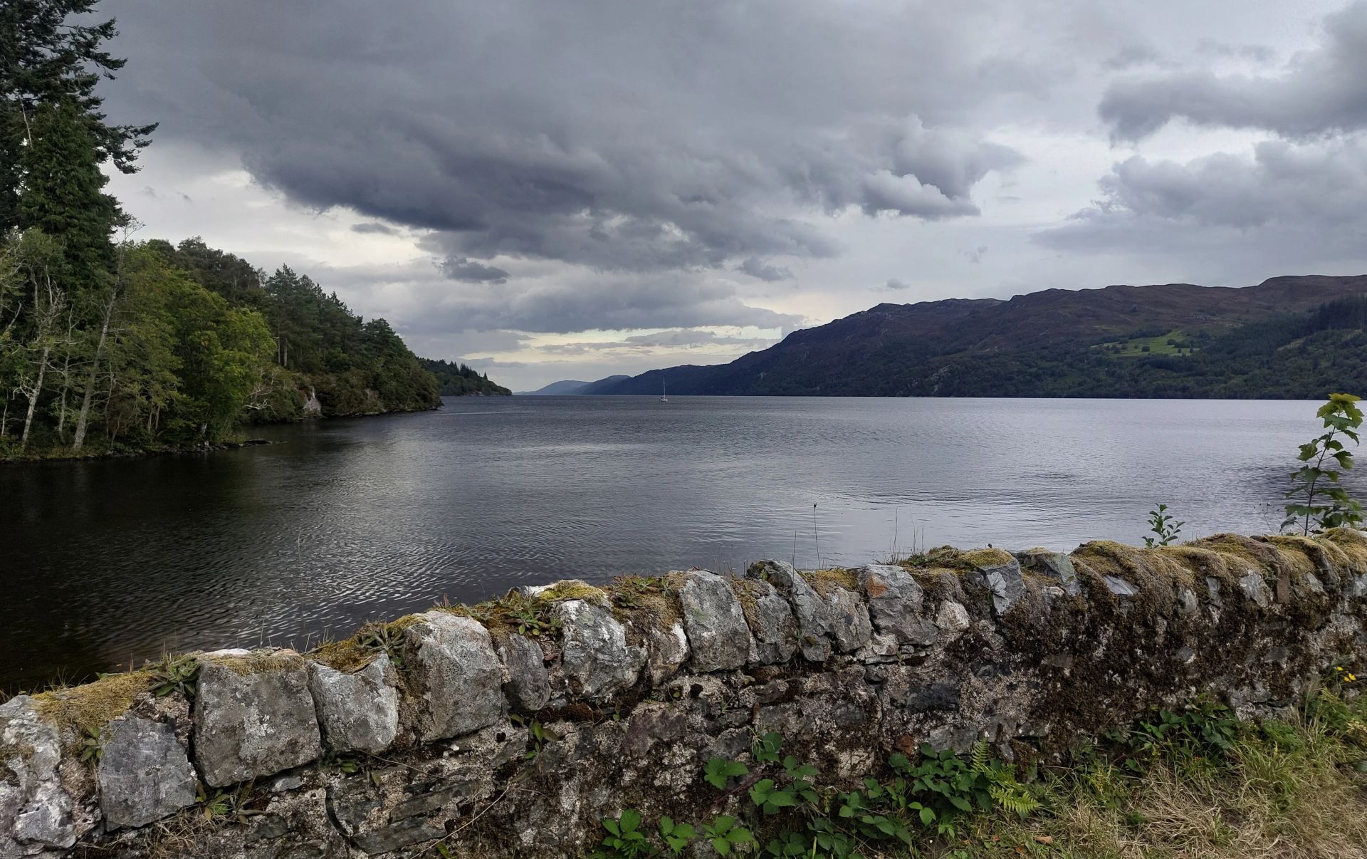Looking for Nessie