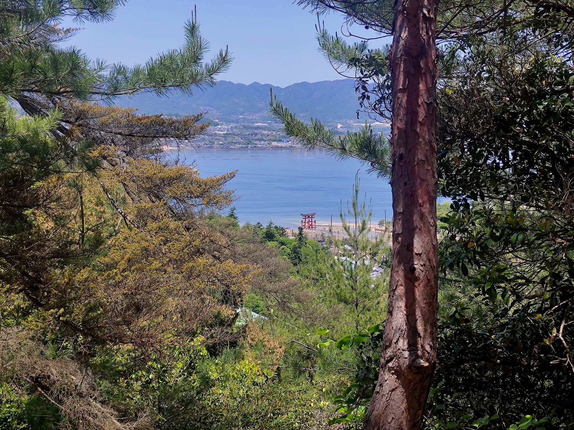 Erster Ausblick auf das Torii am Strand