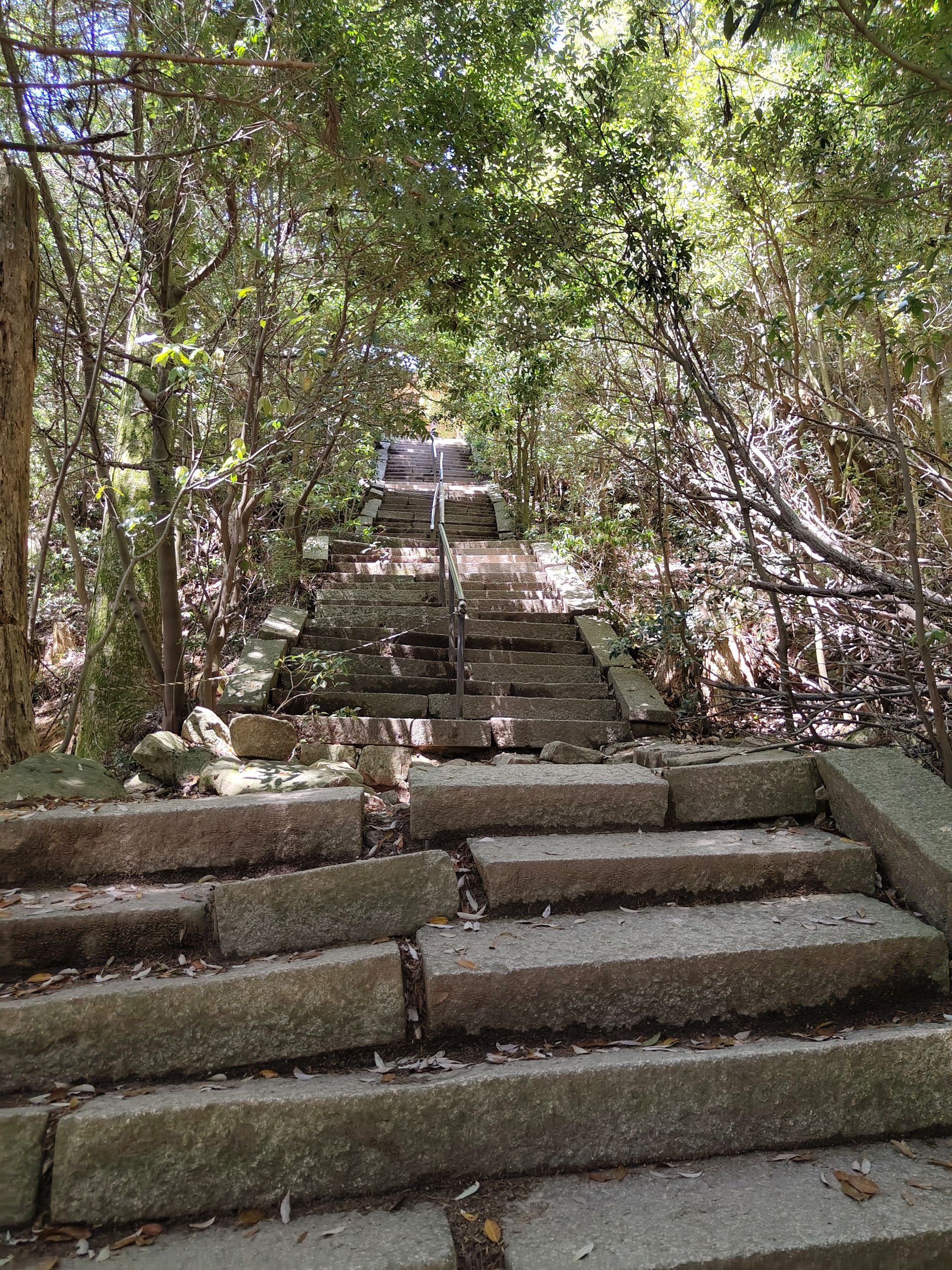Endlose Treppen durch den Wald