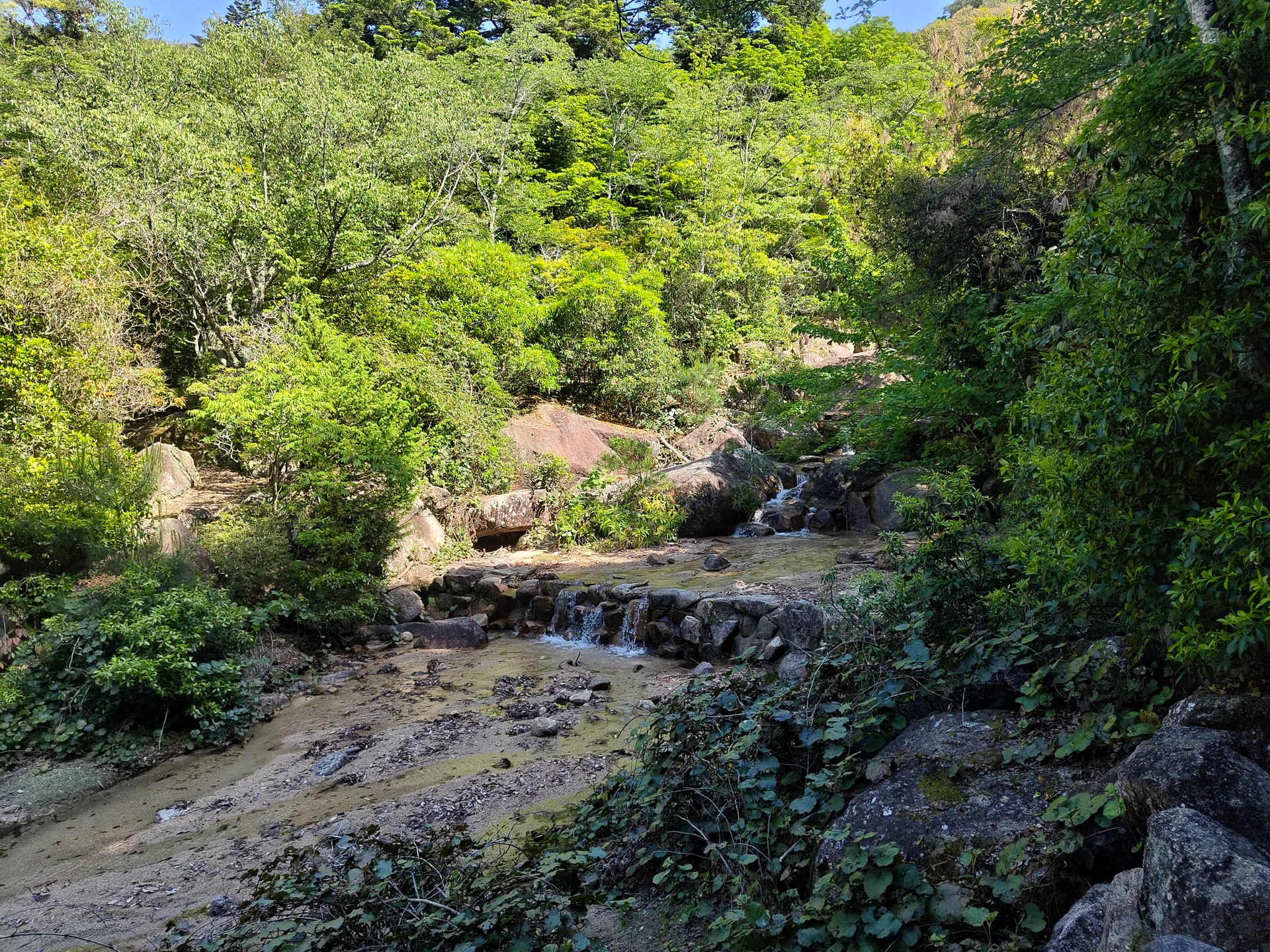 Bachlauf im Wald